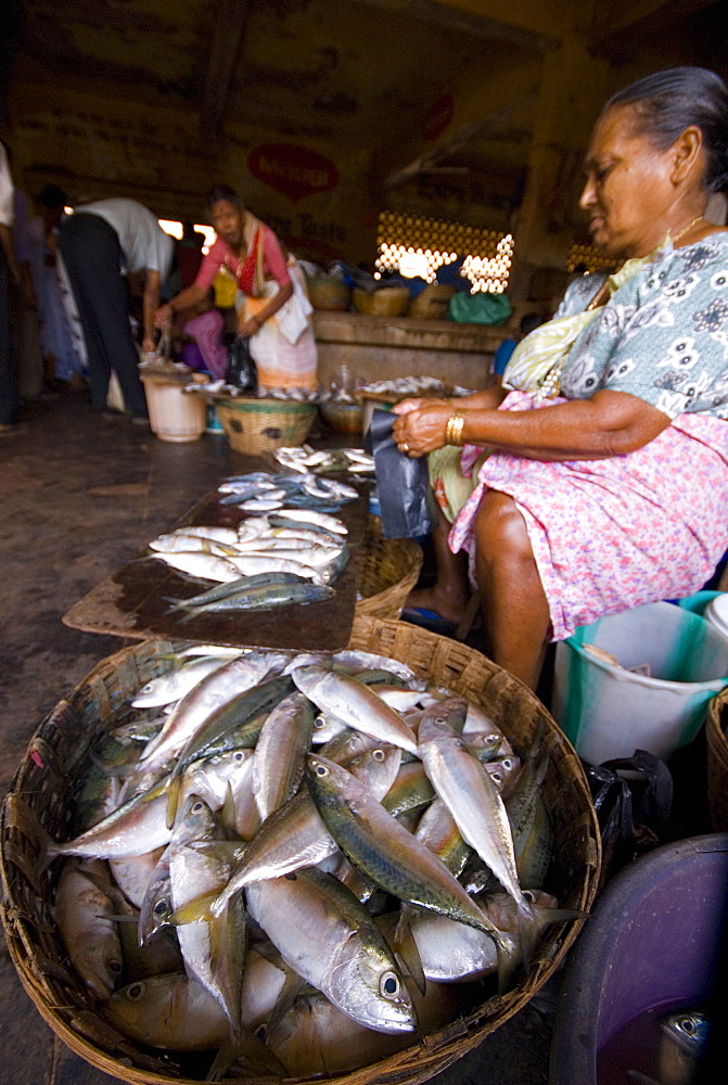 Woman selling fish, Mapusa Market, Goa, India, Asia