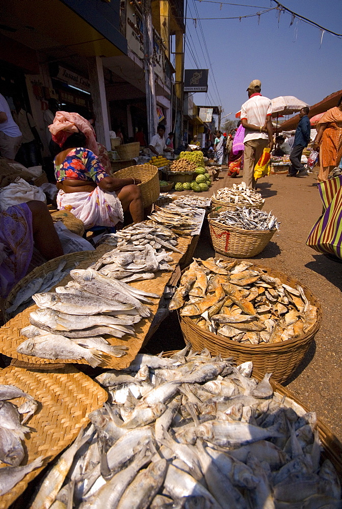 Fish stall, Mapusa Market, Goa, India, Asia