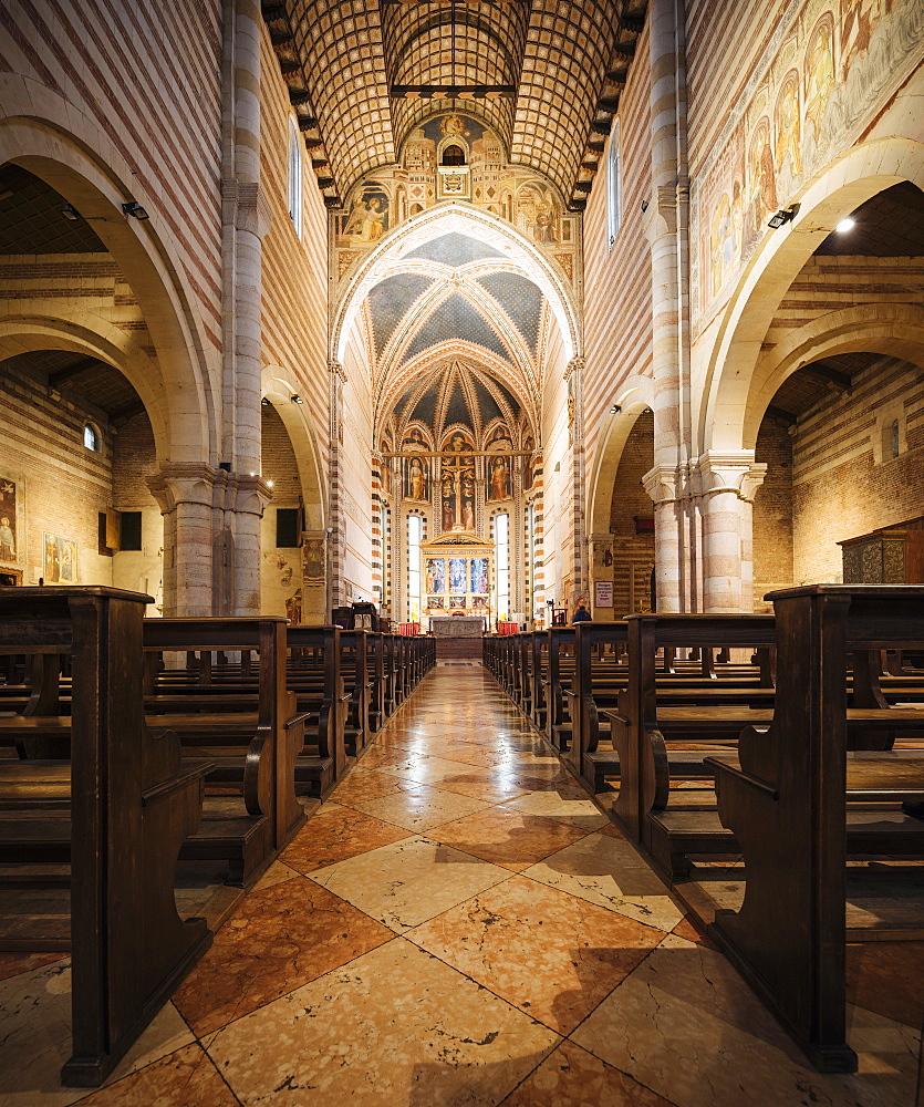 Interior of Basilica di San Zeno Maggiore, Verona, Veneto Province, Italy, Europe