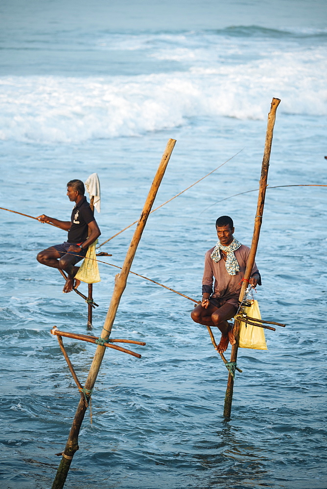 Stilt Fishermen at dawn, Weligama, South Coast, Sri Lanka, Asia