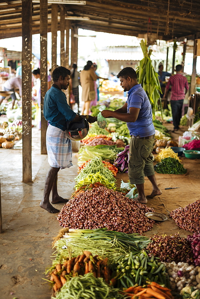 Jaffna Market, Jaffna, Northern Province, Sri Lanka, Asia