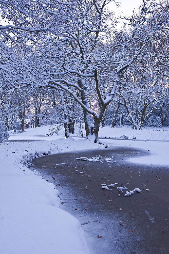 Hampstead Heath in winter, North London, England, United Kingdom, Europe