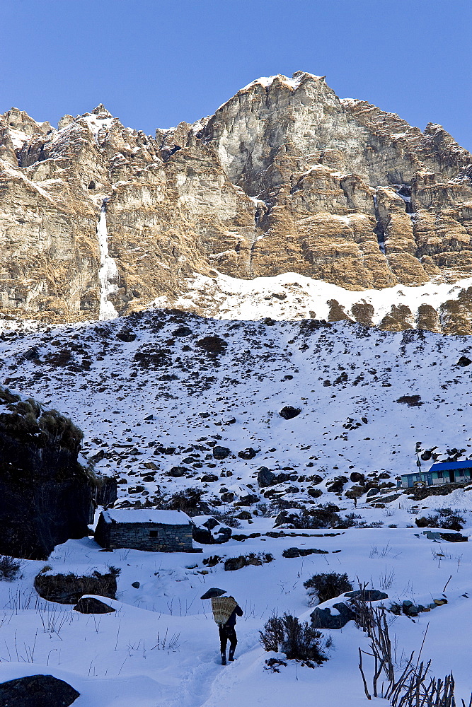 Machhapuchhare Base Camp at 3700 metres, Annapurna Himal, Nepal, Himalayas, Asia