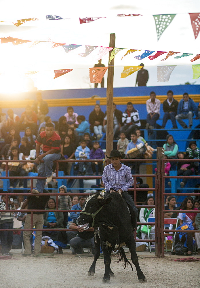 Rodeo at Santa Cruz Papalutla, Oaxaca, Mexico, North America