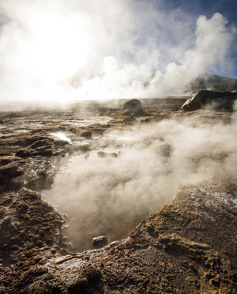 Tatio Geysers, Atacama Desert, El Norte Grande, Chile, South America