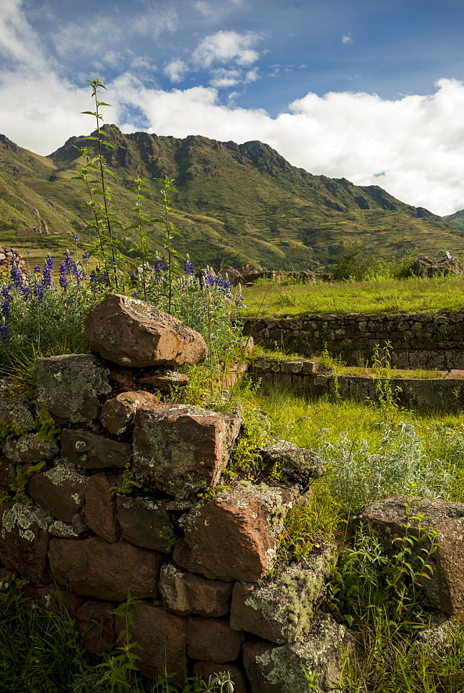 View from Inca Citadel of Pisac ruins, Pisac, Sacred Valley, Peru, South America