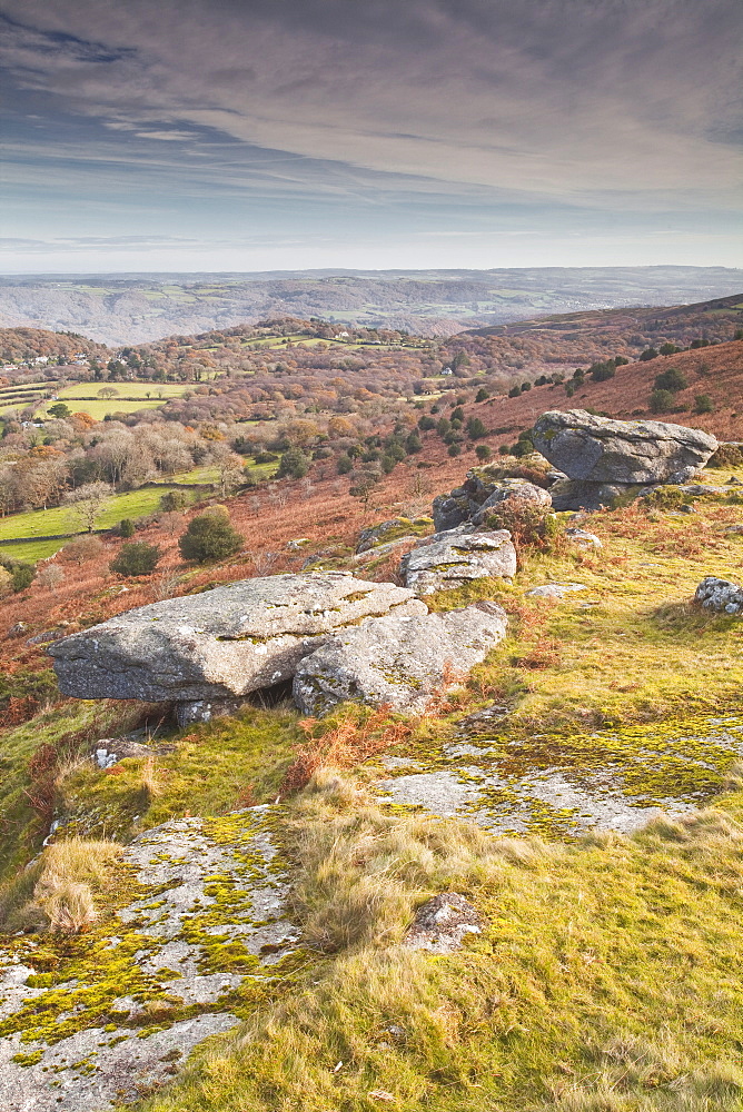 Hayne Down in Dartmoor National Park, Devon, England, United Kingdom, Europe