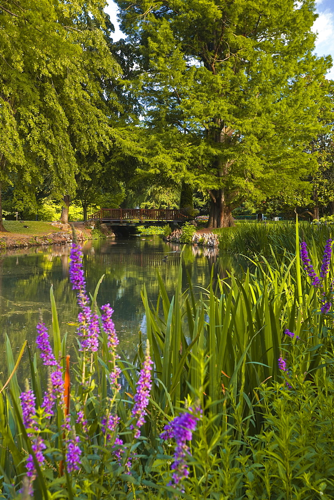 The Jardins des Prebendes d'Oe, Tours, Indre et Loire, Centre, France, Europe