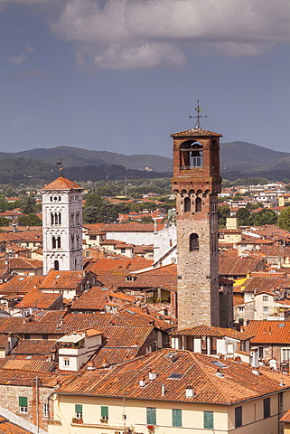 The rooftops of the historic centre of Lucca, Tuscany, Italy, Europe