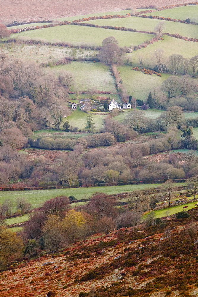 An isolated farmhouse in Dartmoor National Park, Devon, England, United Kingdom, Europe