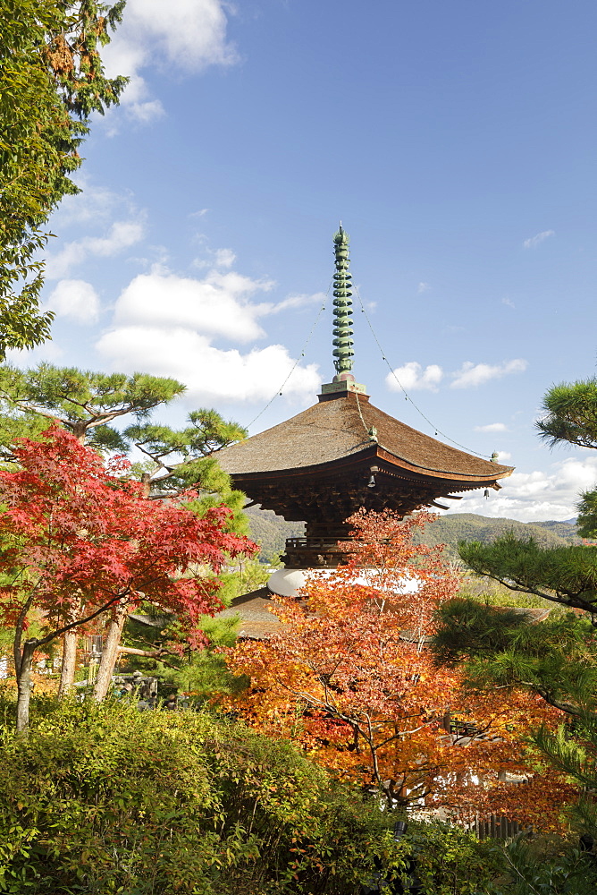 Autumn color in Jojakko-ji Temple in Arashiyama, Kyoto, Japan, Asia