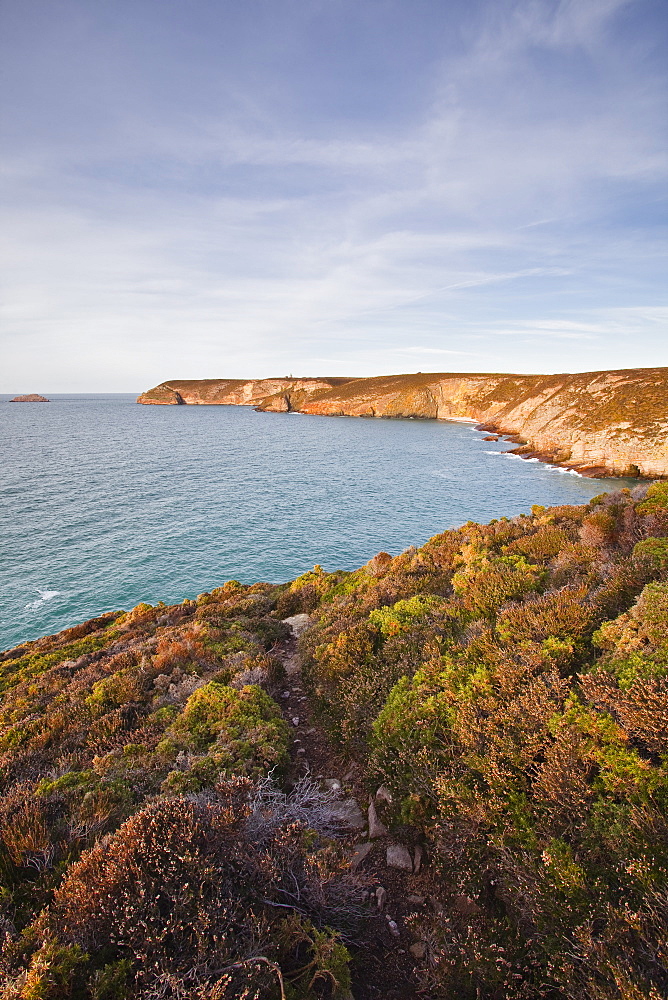 The coastline of Brittany on Cap Frehel, Cote d'Emeraude (Emerald Coast), Brittany, France, Europe