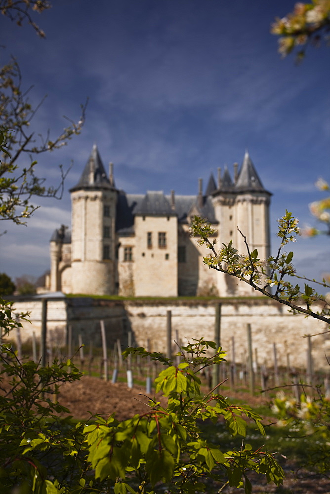 Chateau de Saumur, UNESCO World Heritage Site, Saumur, Maine-et-Loire, Loire  Valley, France, Europe