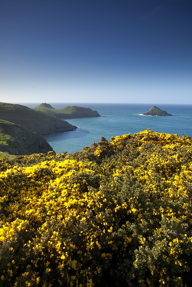 The Rumps, Cornwall, England, United Kingdom, Europe