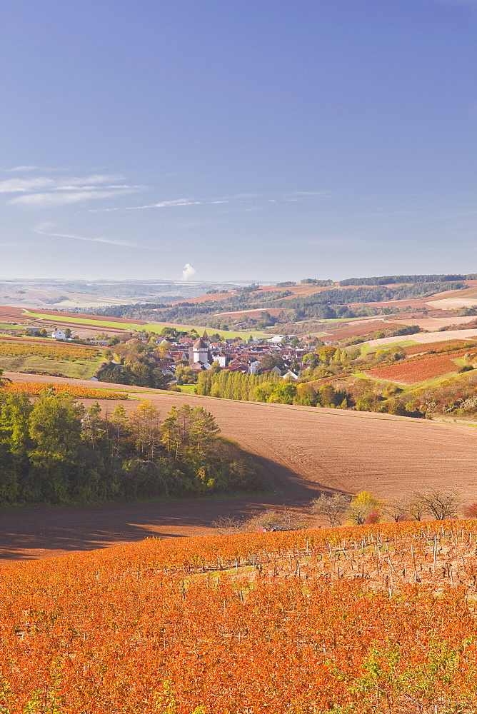 The village of Chitry-le-Fort in Burgundy, France, Europe 