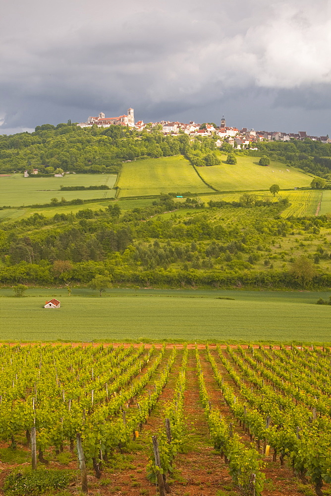 Vezelay, Burgundy, France, Europe