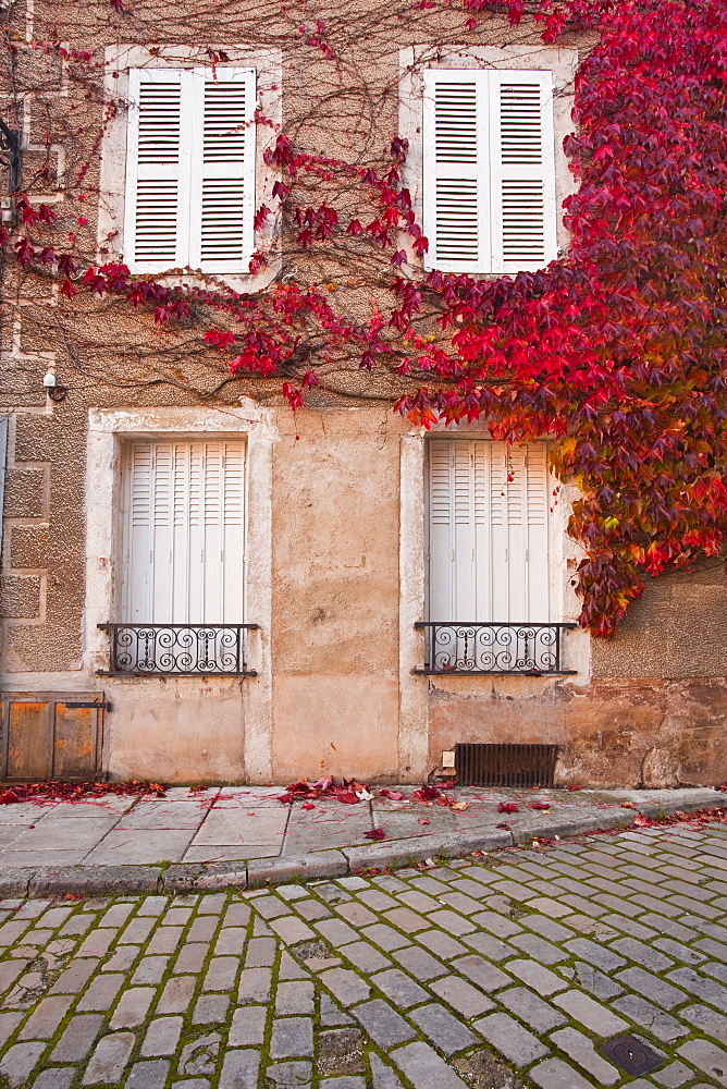 Autumn leaves in Noyers-sur-Serein, one the Beaux Villages de France, Yonne, Burgundy, France, Europe 