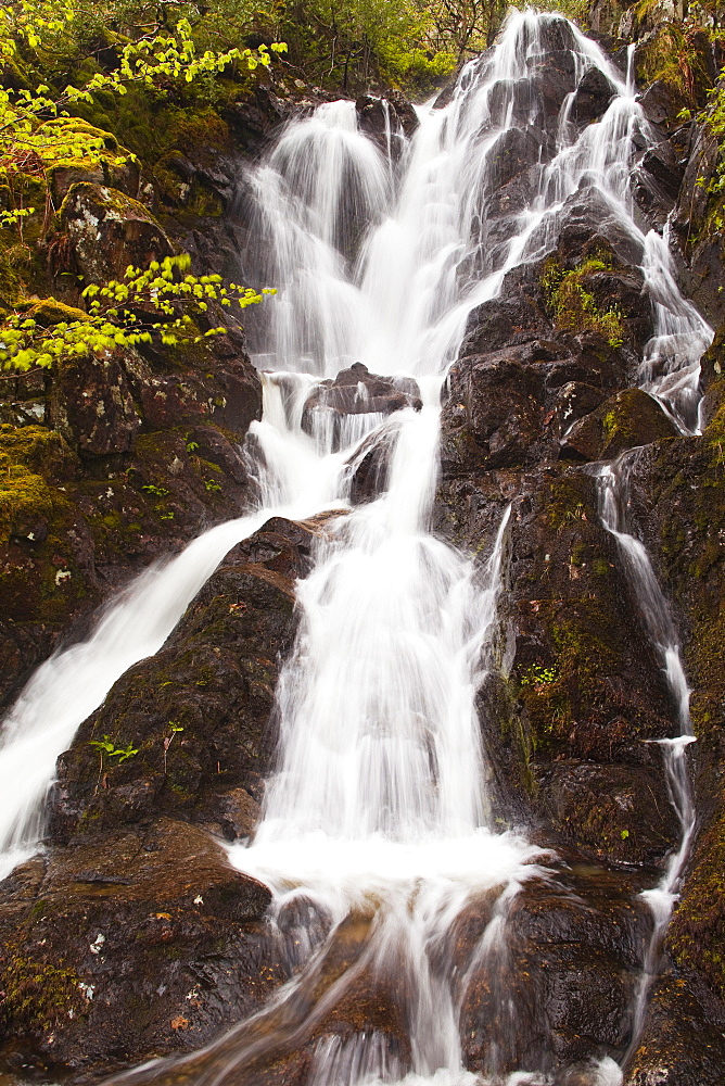 Willygrass Gill waterfall in the Borrowdale Valley of the Lake District National Park, Cumbria, England, United Kingdom, Europe