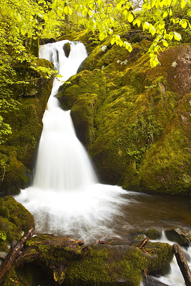 Part of Stock Ghyll Force waterfall near Ambleside, Lake District National Park, Cumbria, England, United Kingdom, Europe