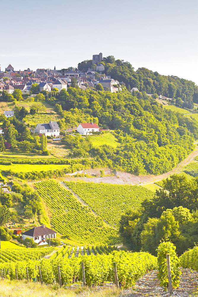 The vineyards of Sancerre in the Loire Valley, Cher, Centre, France, Europe 