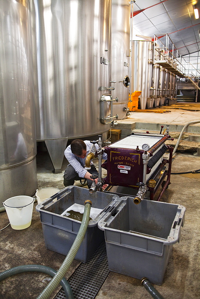 An employee at Gitton Pere et Fils filters wine, Sancerre, Cher, Centre, France, Europe