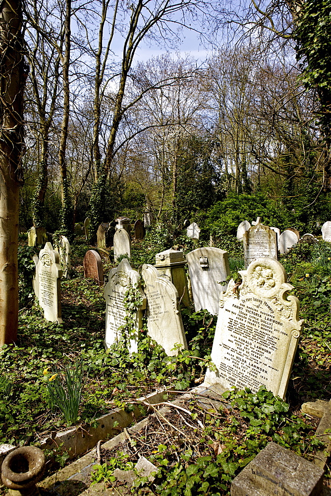 Graves at Highgate Cemetery, London, England, United Kingdom, Europe