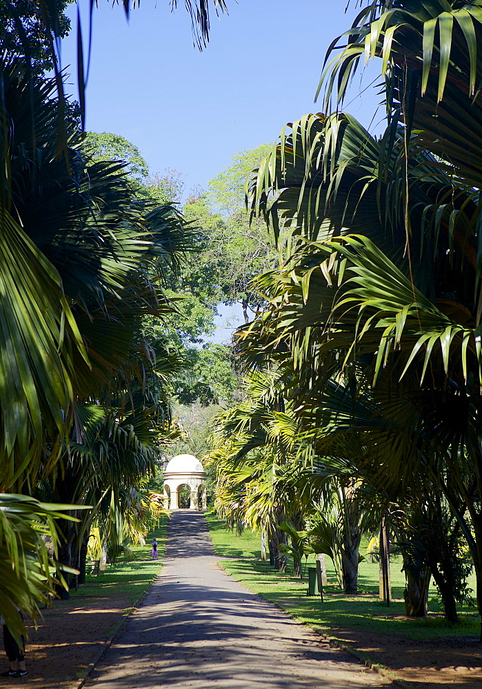 Royal Botanical Gardens, Peradeniya, Kandy, Sri Lanka, Asia