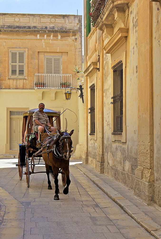 Mdina, the fortress city, Malta, Europe