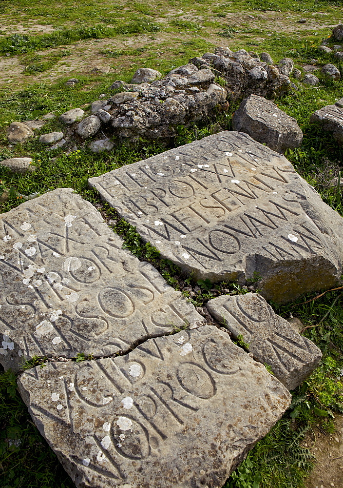 Carving on stone at the Roman archaeological site, Volubilis, UNESCO World Heritage Site, Meknes Region, Morocco, North Africa, Africa