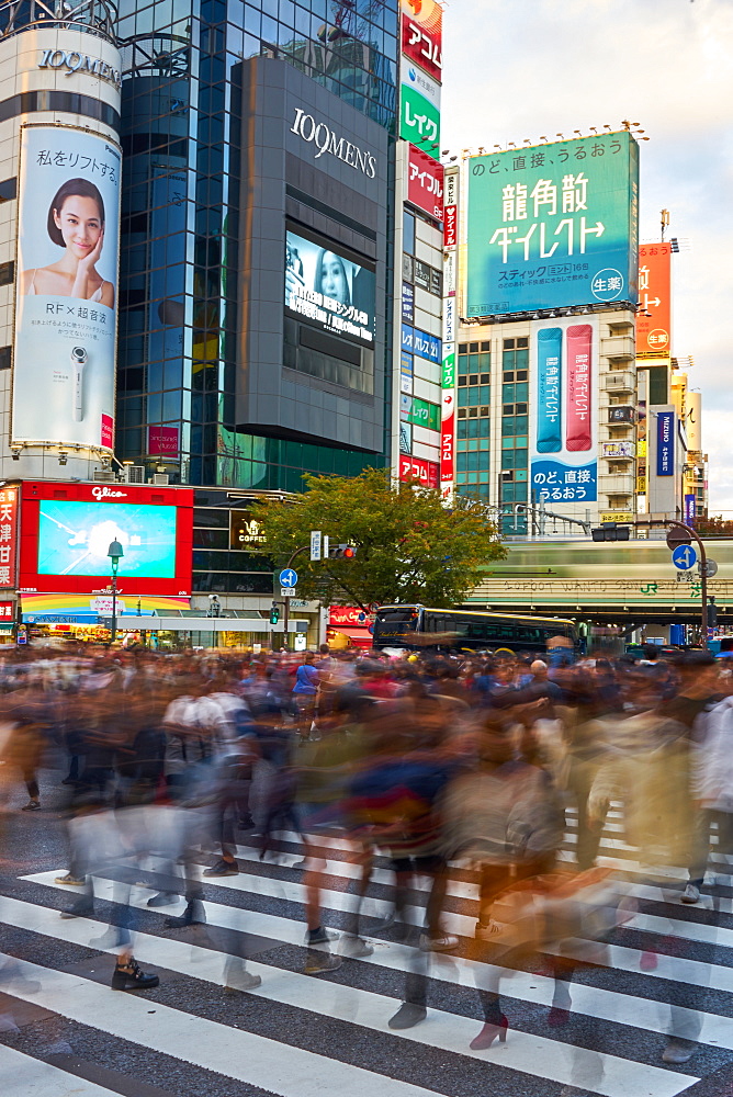 Crowds captured with blurred motion, walking through the Shibuya Crossing, Tokyo, Japan, Asia