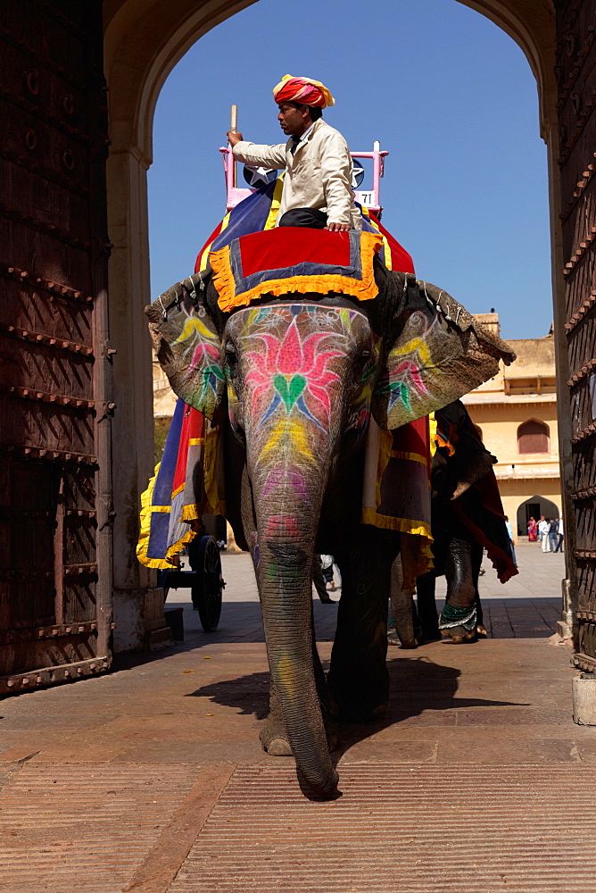 Asian Elephant painted for a ceremony, Rajasthan India