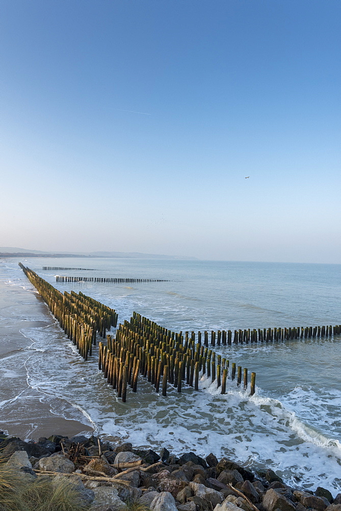 Alignment of wooden piles planted in the sand to disperse the energy of the swell and favor the return of sediments, winter, Opal Coast, France