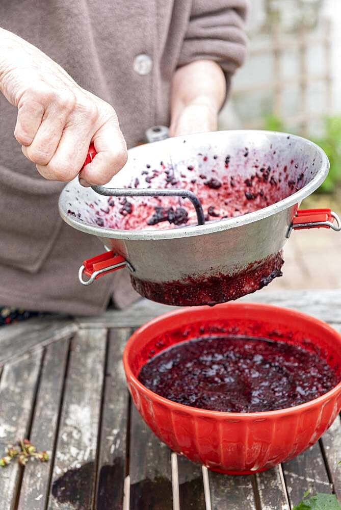 Making an old-fashioned blackberry jam in summer