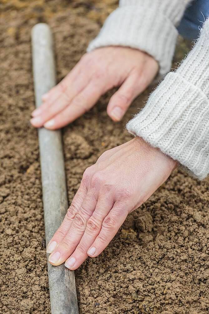 Tip for forming a straight seed groove: Drive a tool handle to the soil surface.