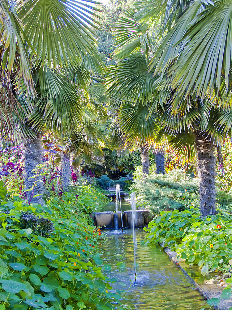 Jardin zen japonais, Le Parc floral de la Court d'Aron, Saint-Cyr-en-Talmondais, Vendee, France