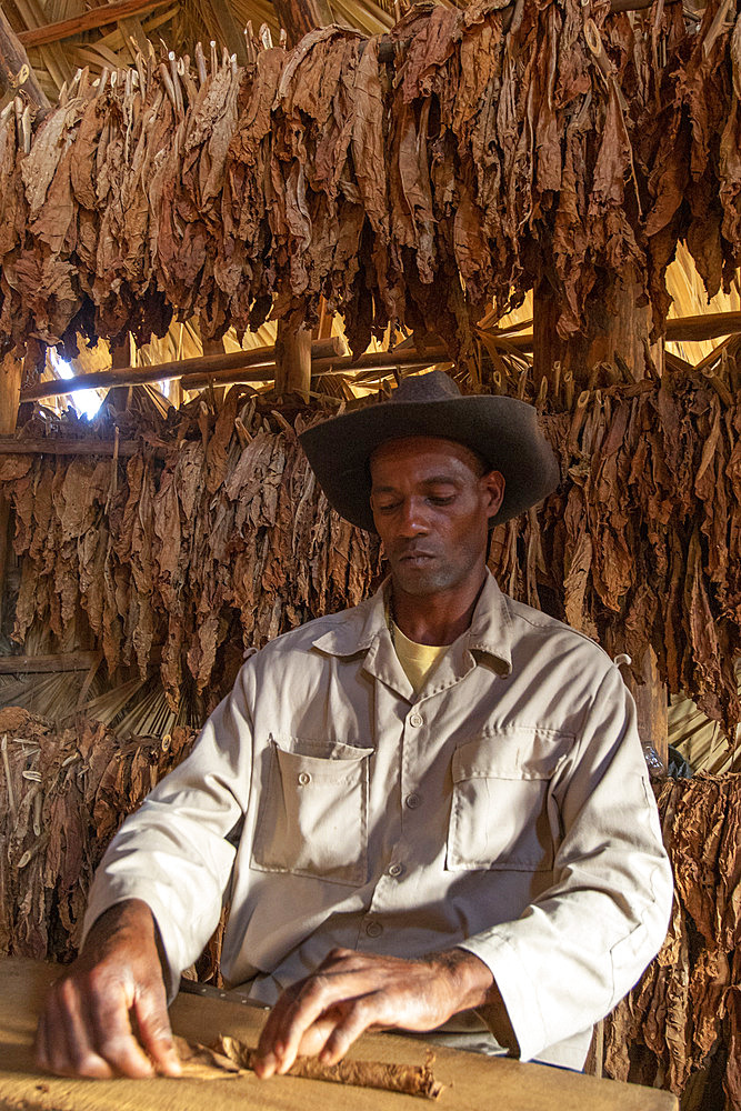 Handcrafted cigar making, Cuba