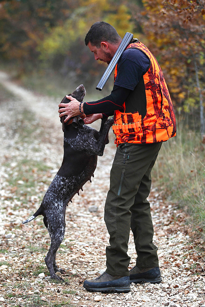 Man hunting with his dog breed german pointer, Vaucluse, France