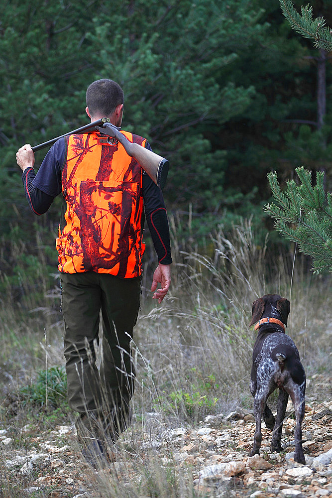 Man hunting with his dog breed german pointer, Vaucluse, France