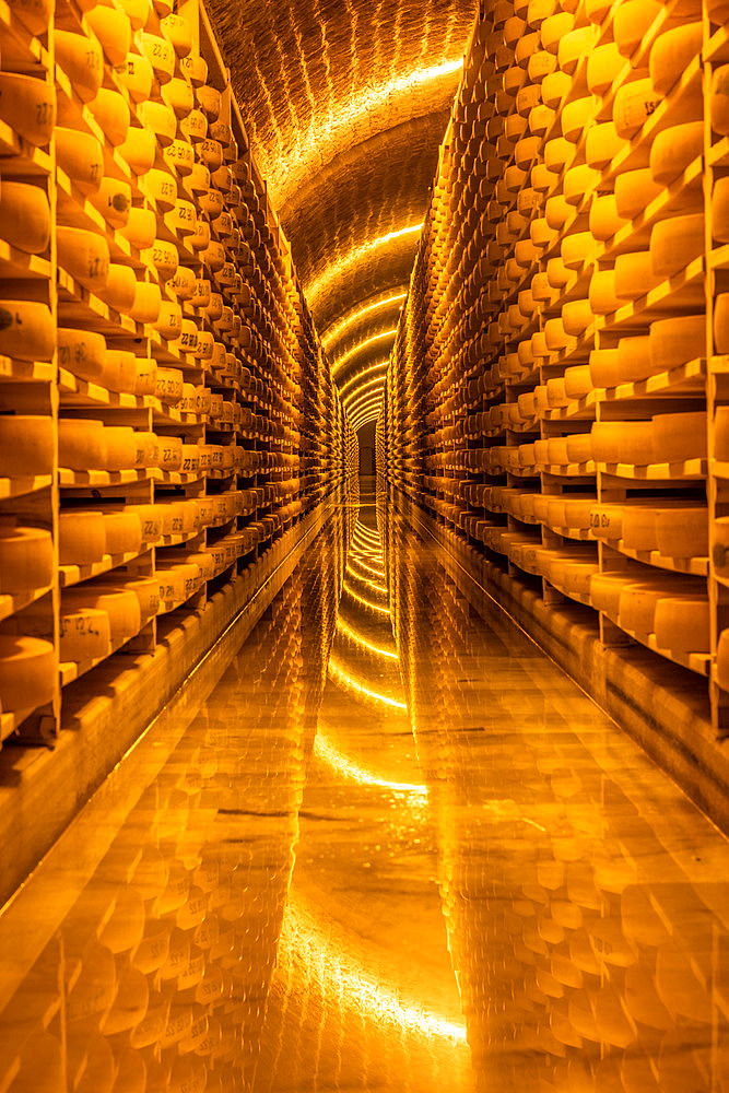 Comte cheeses, Maturing cellar, Jura, France