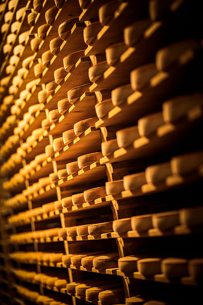 Comte cheeses, Maturing cellar, Jura, France