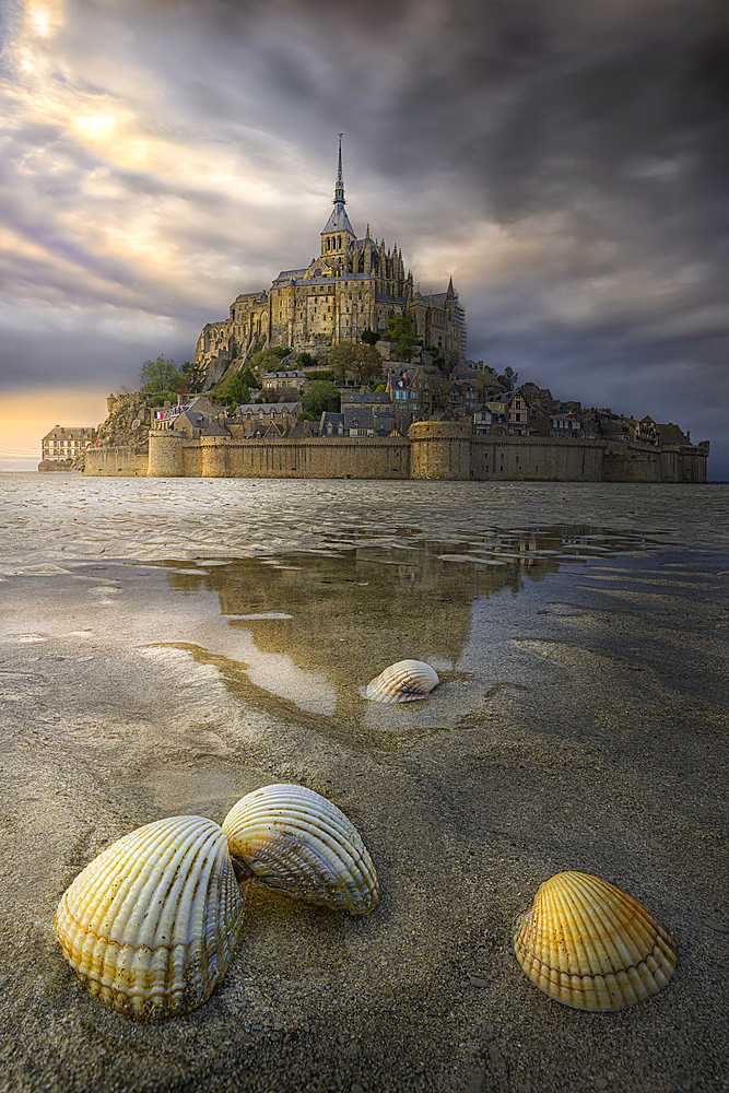 Shells on the sand at low tide in front of Mont Saint-Michel, Normandy, France