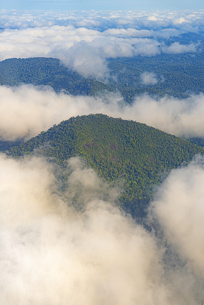 Mountain overlooking the Amazon rainforest. A view from the air of one of the many peaks of the Amazon rainforest in French Guiana, towering above the clouds. A mystical and untouched environment, French Guiana.