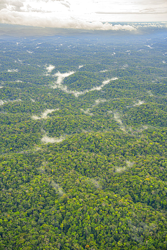 River in the Amazon rainforest. Shot from the air, after the rain, a few evapotranspiration clouds float over this immense, dense forest as far as the eye can see - French Guiana