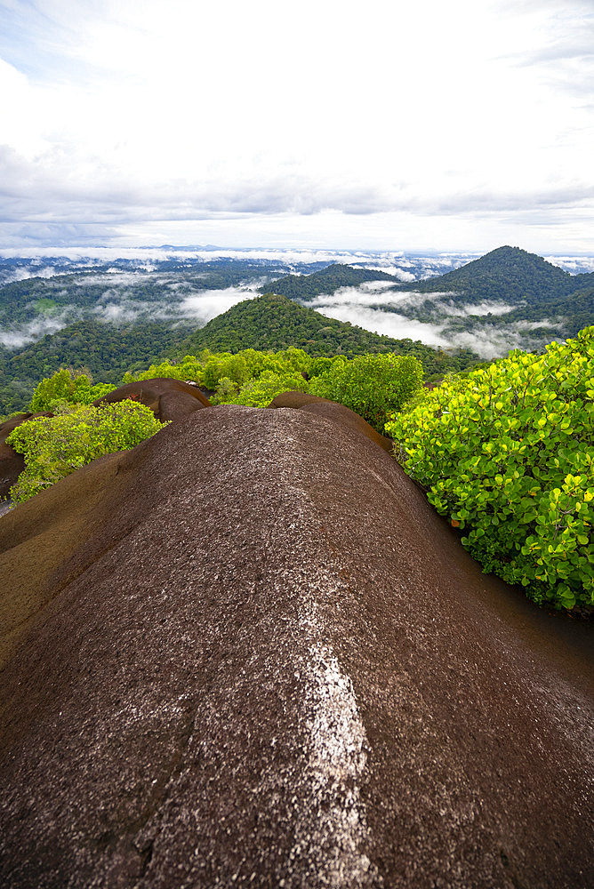 View from the Inselberg in the Nouragues nature reserve. View of the entire forest and canopy from the top of the inselberg. Inselbergs, also known as "rock savannahs" in French Guiana, can also be large, more or less flat expanses of bare granite - Regina, French Guiana.