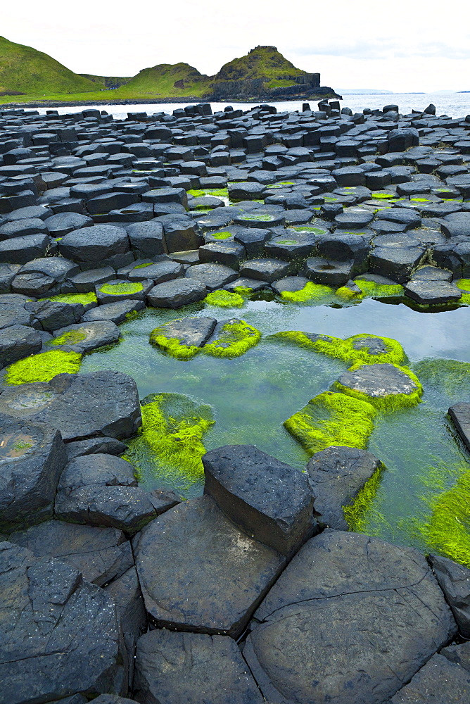 The Giant's Causeway is located on the northern coast of County Antrim UNESCO world heritage Ocean Scenery Travel