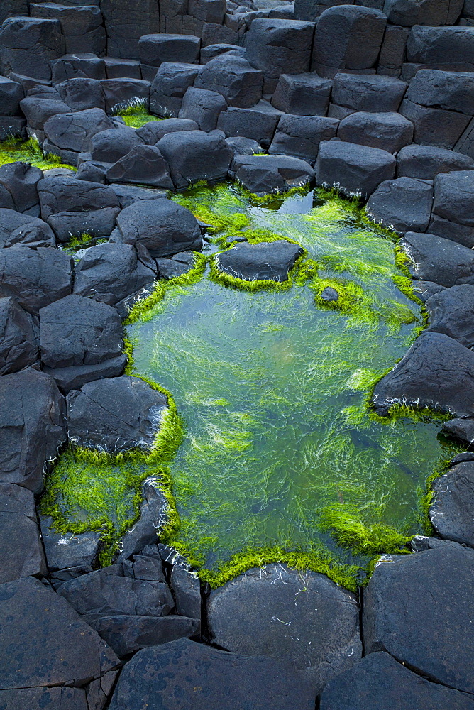 The Giant's Causeway is located on the northern coast of County Antrim UNESCO world heritage Ocean Scenery Travel