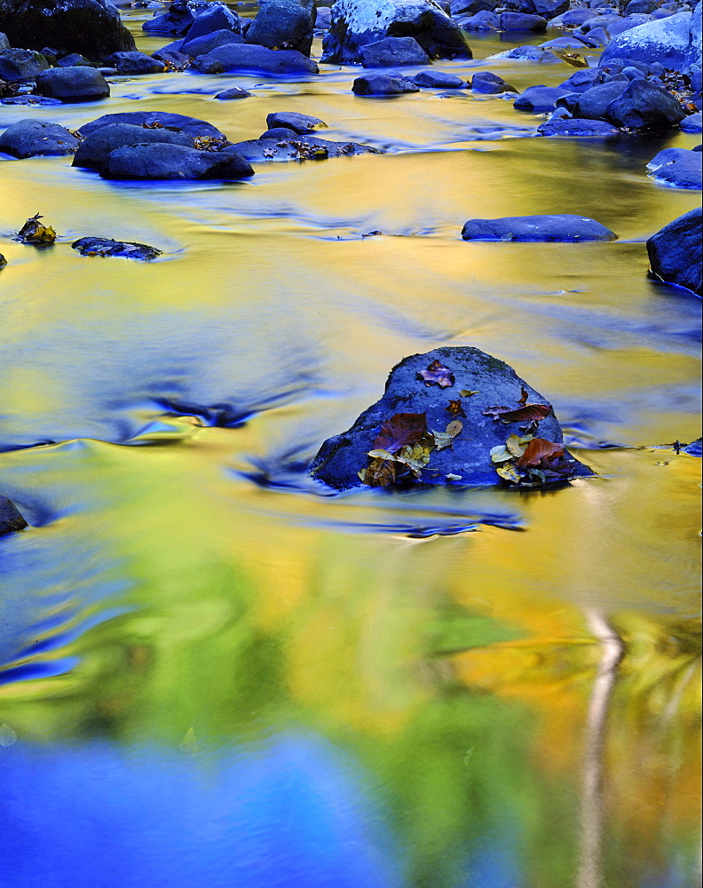 reflected colour in the middle of the little river Great Smoky Mountains National Park TN USA