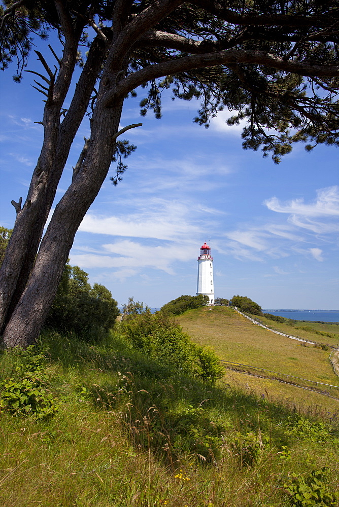 landscape with tree coast lighthouse Hiddensee Mecklenburg-Western Pomerania