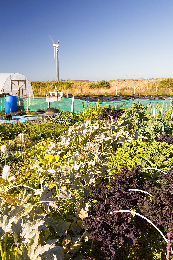 The organic community garden at Mount Pleasant Ecological Park, Porthtowan, Cornwall, UK.