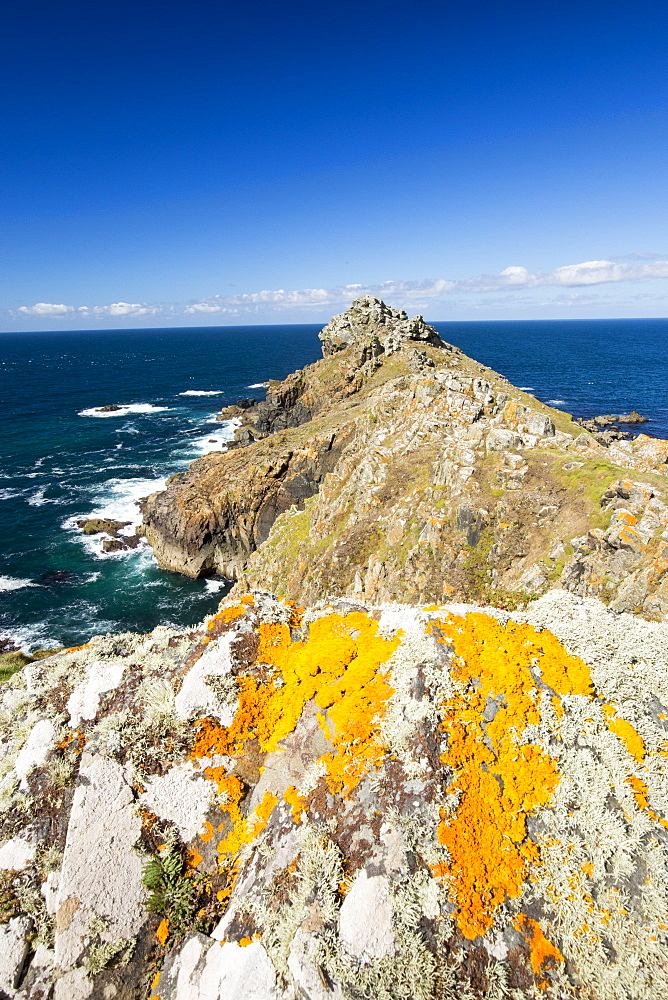 Lichen covered rocks on Gurnards Head near Zennor, Cornwall, UK.